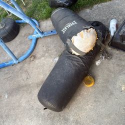 Punching Bags 