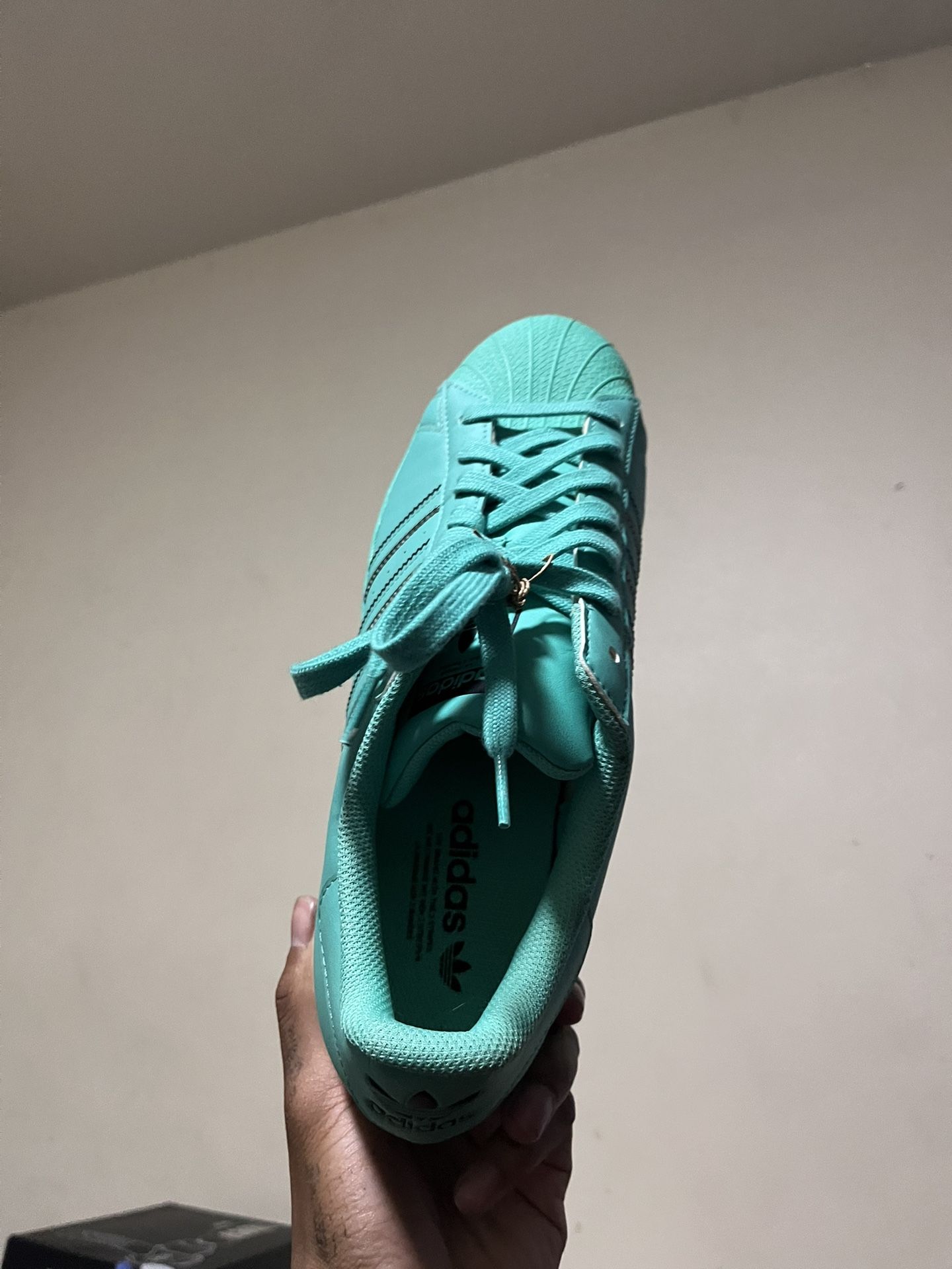 adidas gazelle silver green womens adidas Superstar ADV Shoes Green 8 main image 1