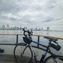 Trek Road Bike 