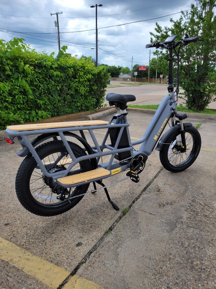 Electric Bike/e Bike 28mph 1000w 100+ Mike Range