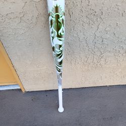 Baseball Bat 34