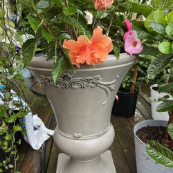 Urn Planter Set (2)  