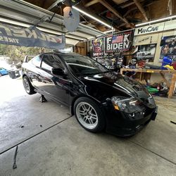Fender Rolls