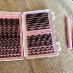 Brand New Lash Kit $15