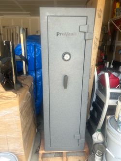 Gun.    Safe.