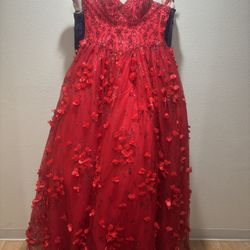 Quinceañera Dress Medium