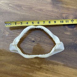 Huge Cat Fish Mouse Souvenir 