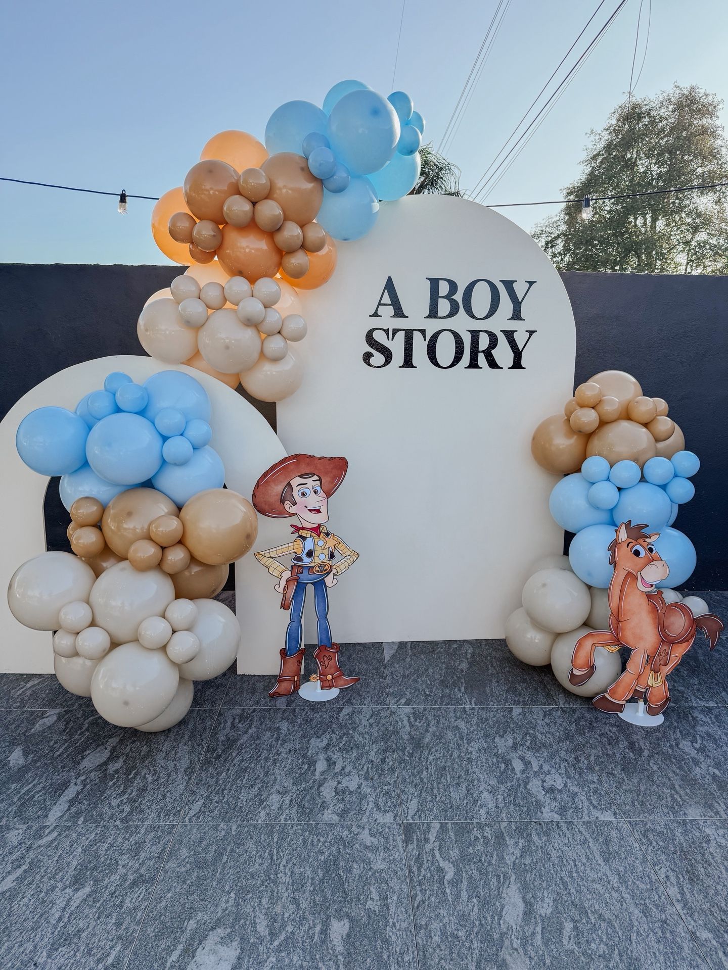  Balloon Backdrop A Boy Story Toy Story Balloons