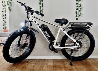Electric bike