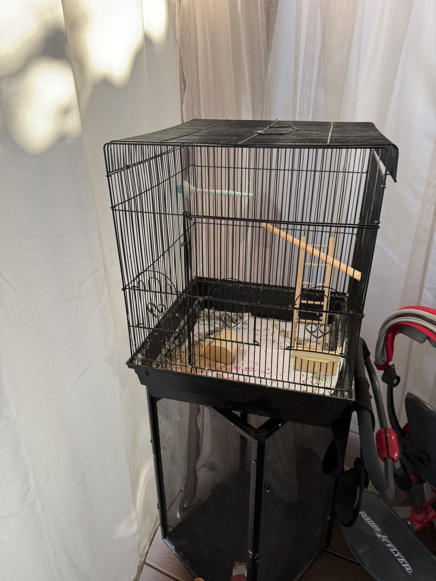 Bird’s Cage