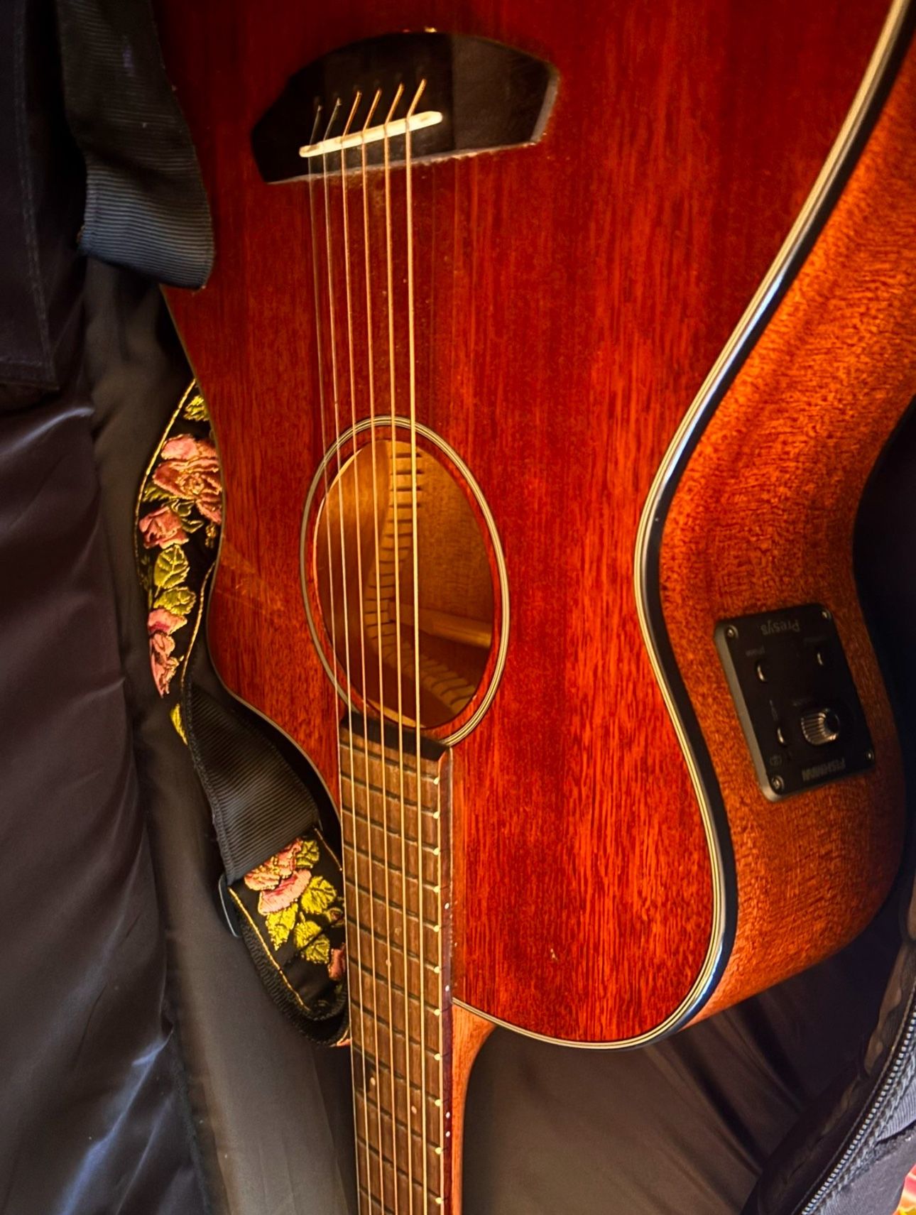 Breedlove Acoustic+Eletric Guitar