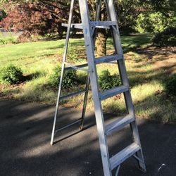 6ft Step Ladder 