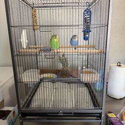 Bird cage