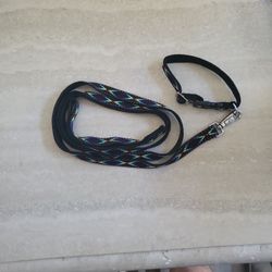 Dog Leach And Collar 