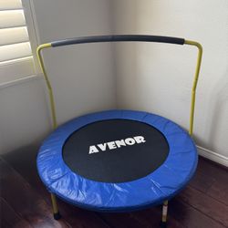 Trampoline With Removable Handle Bar