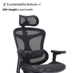 Sihoo C300 Chair