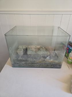 Rimless 10 gallon fish tank
