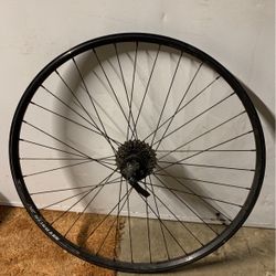 29 Rear Wheel