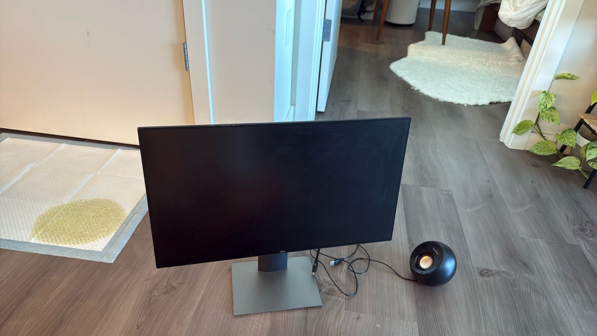 Dell U2419H 24" Monitor