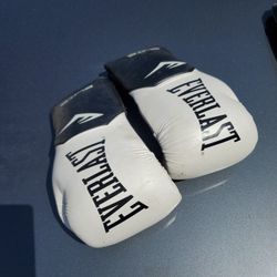Everlast Pro Elite Boxing Gloves 12oz