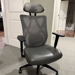 Ergonomic Office/Gaming Chair