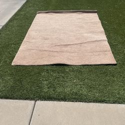 Carpet 