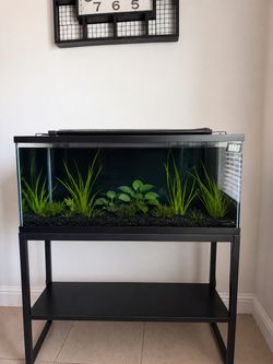 Aquarium