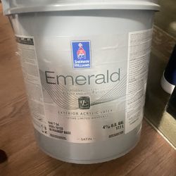 5 GALLON AURORA BROWN PAINT 