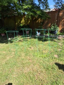 Tomato Cages
