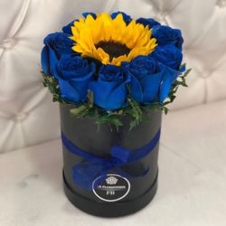 Father’s  Day Gifts 