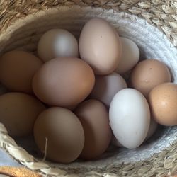 Fresh Eggs/ Huevos Frescos