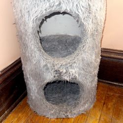 Cat Toy