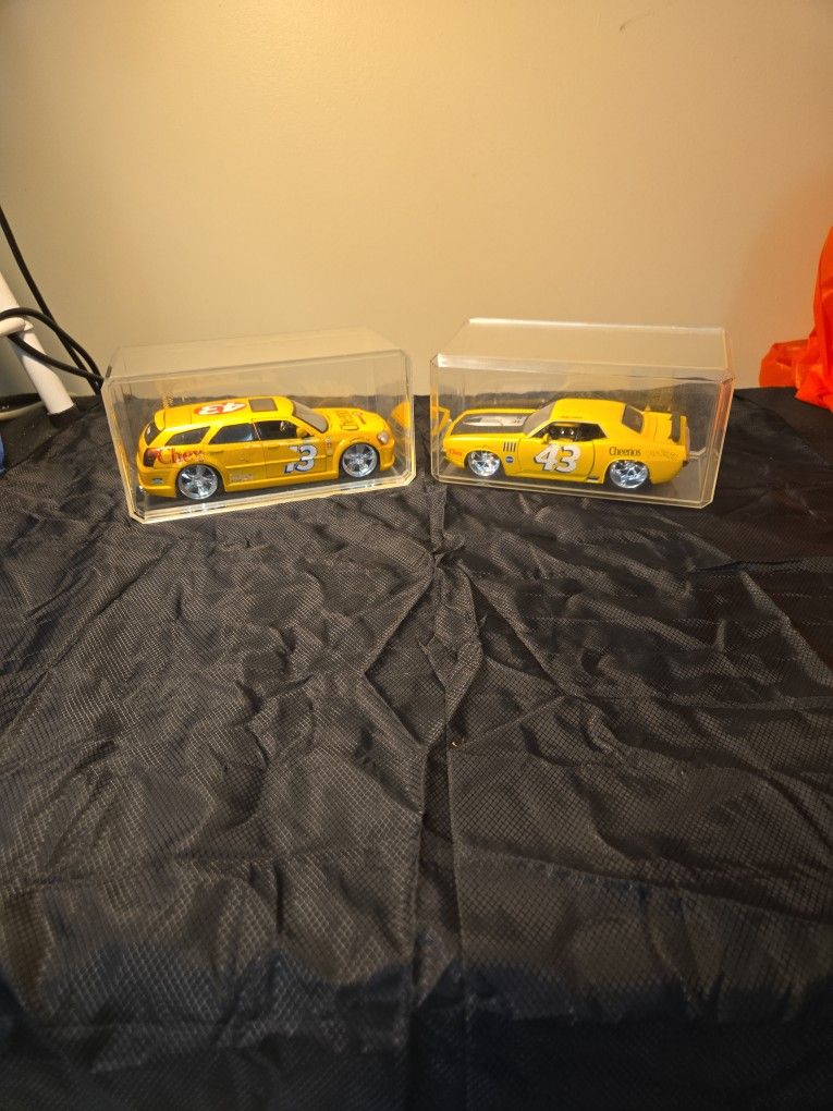 1/24 Scale Model Bobby Labonte #43 Race Cars