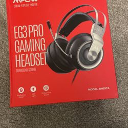 Pro Gaming Headset 