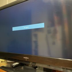 46” Insignia Flat Screen TV