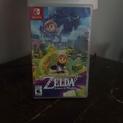 Zelda Echos Of Wisdom