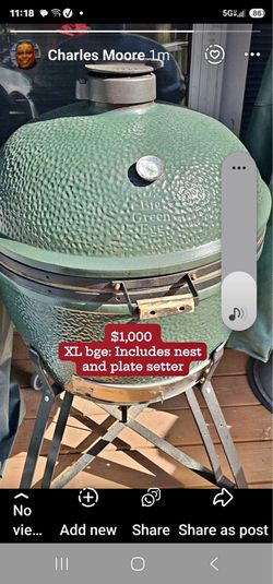 Used Green Egg Grill