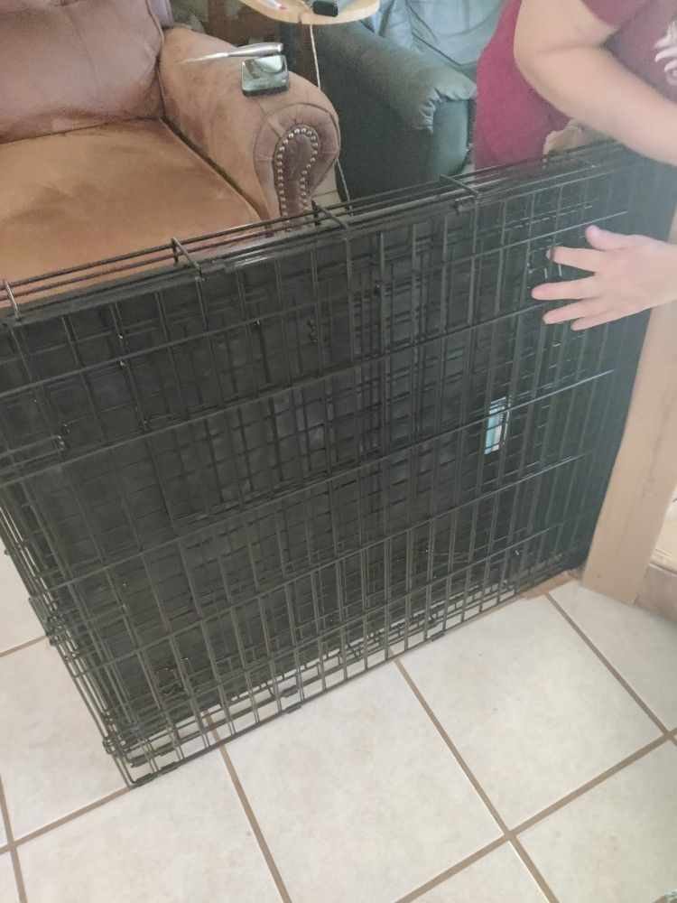Metal Dog Kennel