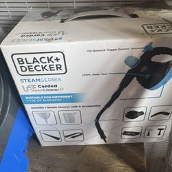 Steamcleaner 