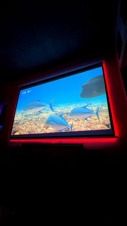 Movie projector with giant movie screen