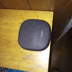 Bose Bluetooth Speaker Rocks