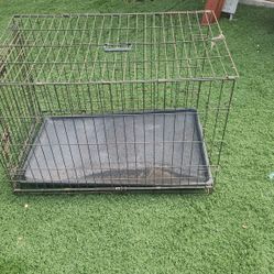 Large Dog Kennel