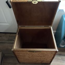 Storage Trunks 