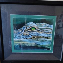 Alligator Eye Art 18 x 16 Obo