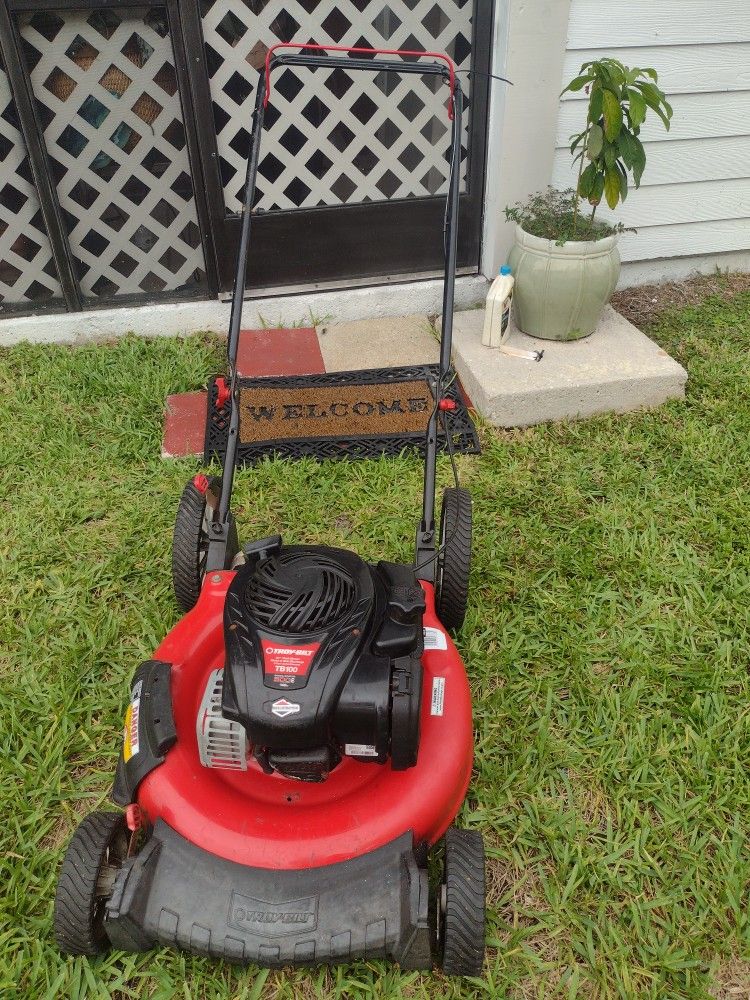 Pushing Lawnmower . Start On The First Pull.