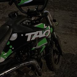 TaoTao DB10 Automatic Kids’ Off-Road dirt bike, electric start 110cc