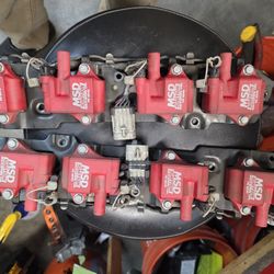 Msd Ls1 Coil Packs