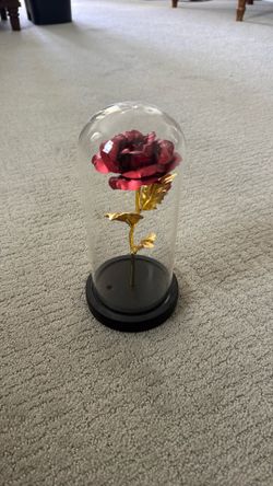 Beauty and The Beast Rose in Glass Dome