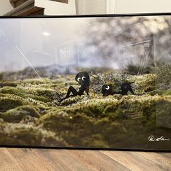 Framed Poster Print