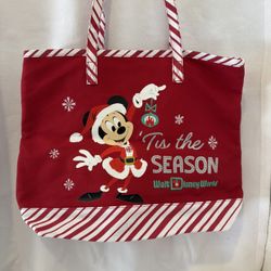 Disney Bag Never Used